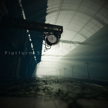 Lemm - Platform5