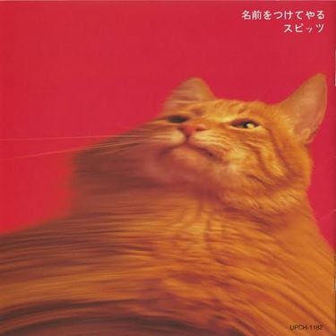 スピッツ [Spitz] - 名前をつけてやる