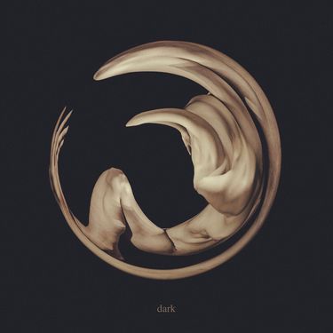 Siamese - dark