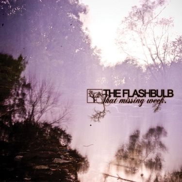 The Flashbulb - That Missing Week