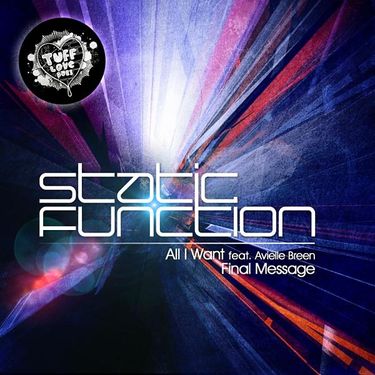 Static Function - All I Want / Final Message
