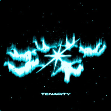 Wang - Tenacity