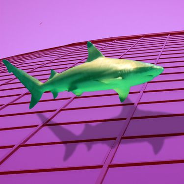 ＧＡＭＥＳＨＡＲＫ&trade; - SHARK フローティン グふわっと