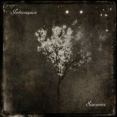 Introversion - Souvenirs