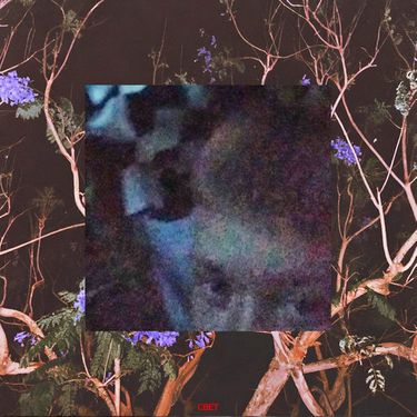 полья - статица -, Ч.1