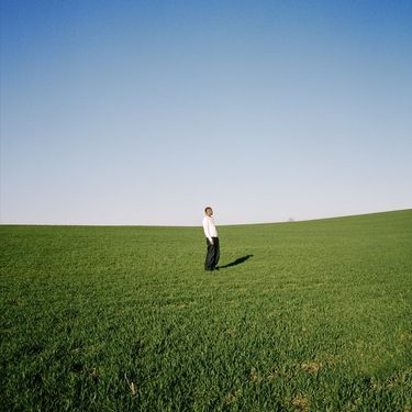 James Savage - PINE