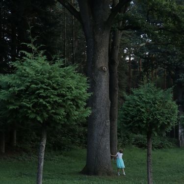 Нелюдимка - Вечно зелёные аллеи