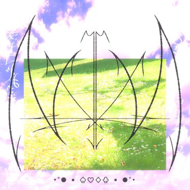 NKИ - &bull;&deg;● ▪︎ ♤♡◇♧ ▪︎ ●&deg;&bull;