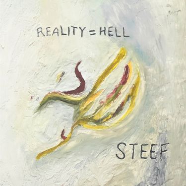 Steef - Reality = Hell