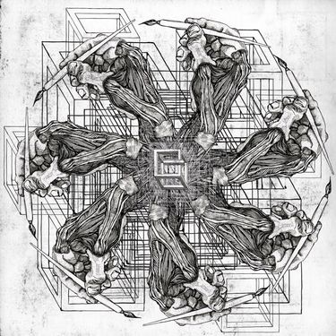 Poly-Math - Reptiles
