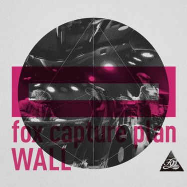 Fox Capture Plan - Wall