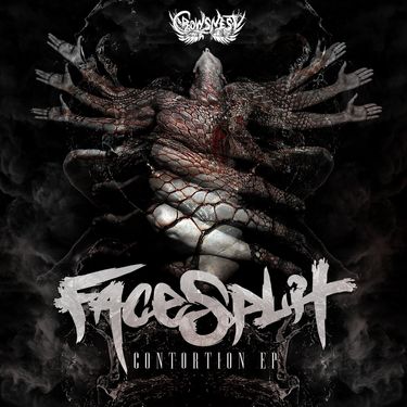 FaceSplit - Contortion