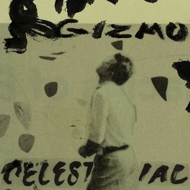Gizmo - Celestial