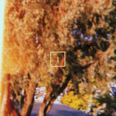 Quip - square1