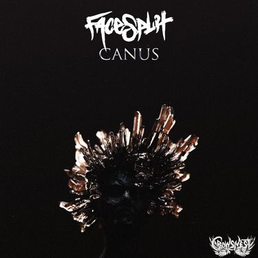FaceSplit - Canus
