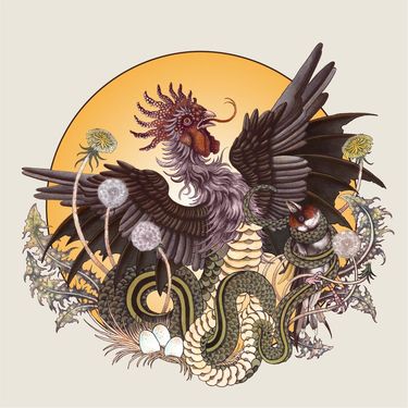 Brume - Rooster