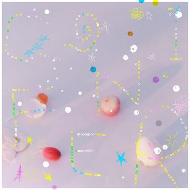 リーガルリリー [Regallily] - コニファー (Single) - Reviews - Album