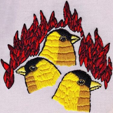 Roar - Impossible Animals
