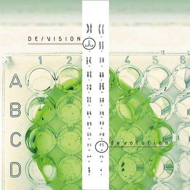DE/VISION - Devolution