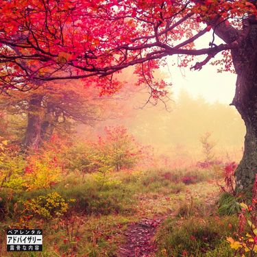 Lil Smaller - Disarray