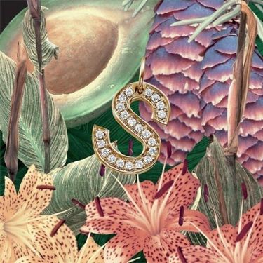 SZA - S