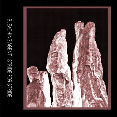 Bleaching Agent - Stride For Stride