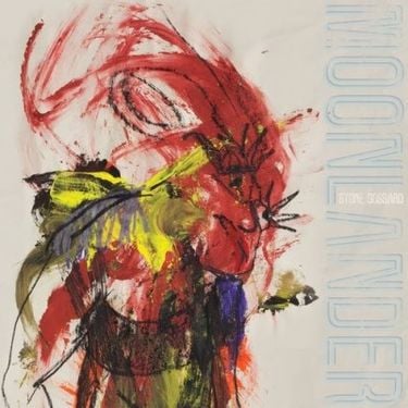 Stone Gossard - Moonlander