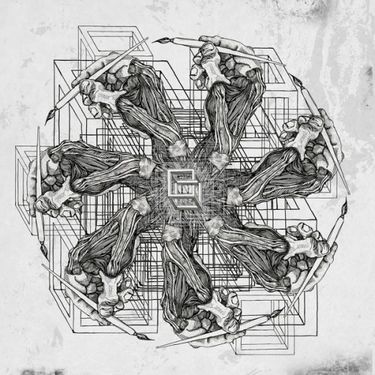 Polymath - Reptiles