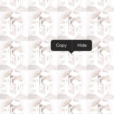 G - Copy Hide