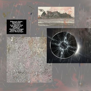 M.E.S.H. - Piteous Gate