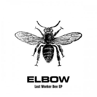 Elbow - Lost Worker Bee
