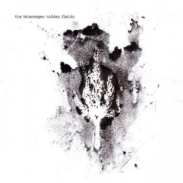 The Telescopes - Hidden Fields