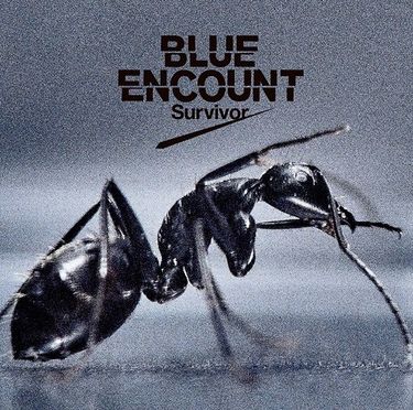 BLUE ENCOUNT - Survivor