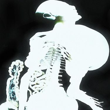 Arca - Entra&ntilde;as