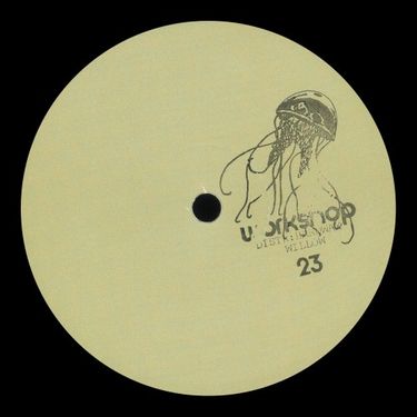 Willow - Workshop 23
