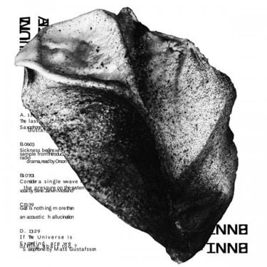 BNNT - MULTIVERSE