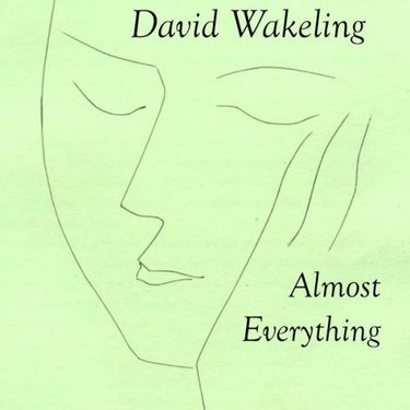 David Wakeling - Almost Everything