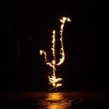 Demon Head - Hellfire Ocean Void