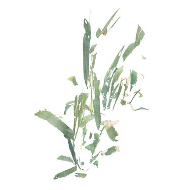 그림자 공동체 [Shadow Community] - 동요 / 할시온의 관