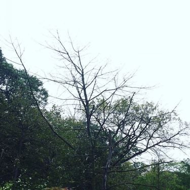 Sadness - Rain