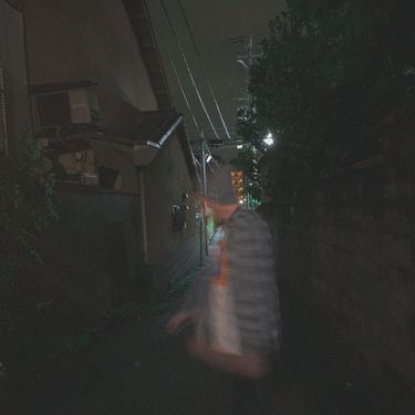 guardin - backup