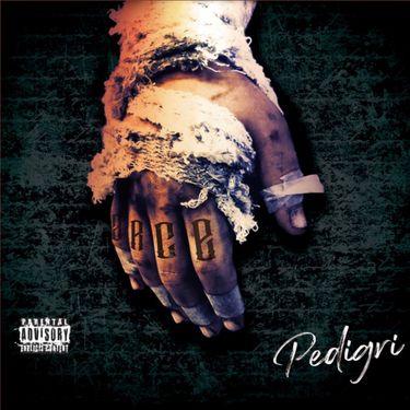Arce - Pedigr&iacute;