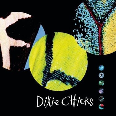 Dixie Chicks - Fly