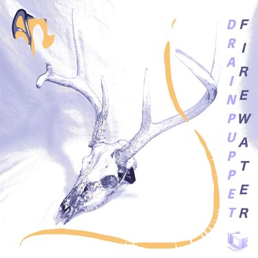 Drainpuppet - Firewater