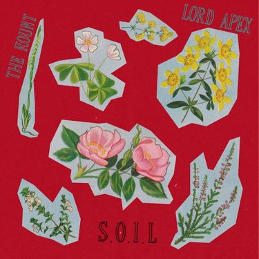 Lord Apex - S.O.I.L