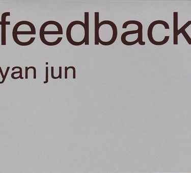 颜峻 [Yan Jun] - Feedback