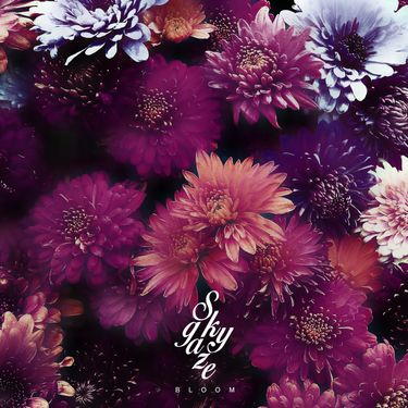 Skygaze - Bloom