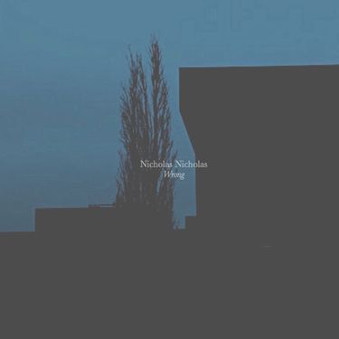 Nicholas Nicholas - Wrong