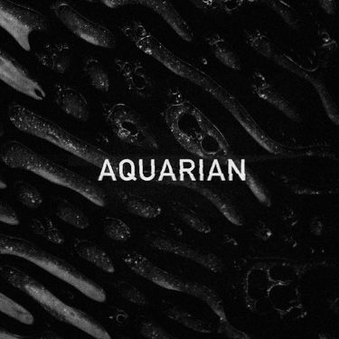 Aquarian - Aquarian