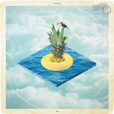 Wun Two - Rio